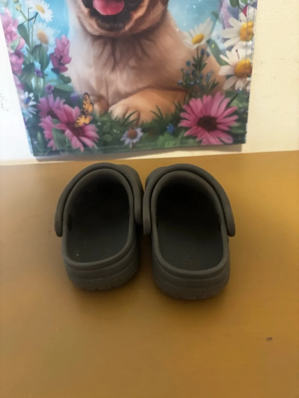 CROCS Kids Classic Clog - Gray C5